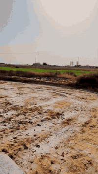 قطعة ارض للبيع 
مساحة (1000) الف متر على شارع بني زيد قرب الشركة الإيرانية للاستفسار الاتصال على الرقم ***********
