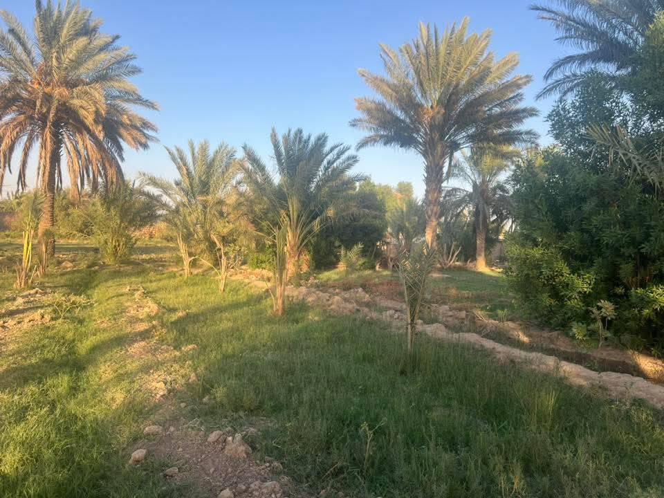 للبيع 40 دونم عقد 117 زراعي شاطيه كاع كلش حلوه تحتوي علي بيتين شط يبعد عن بيت ٣٠ متر من كدام كاع ومن نهايته شط مضخات مي نهر وحده سقي صيف شتا المكان بالكوت النعمانيه مراسله على خاص


**إذا كنت صاحب هذا الإعلان وتريد حذفه لأي سبب، رجاءا أرسل رسالة إلى الدعم الفني**