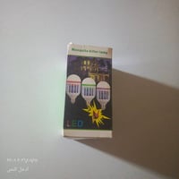 قناصة حشرات • توصيل • خاص