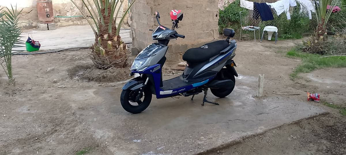 هذا رقمي ‏‪***********‬‏
