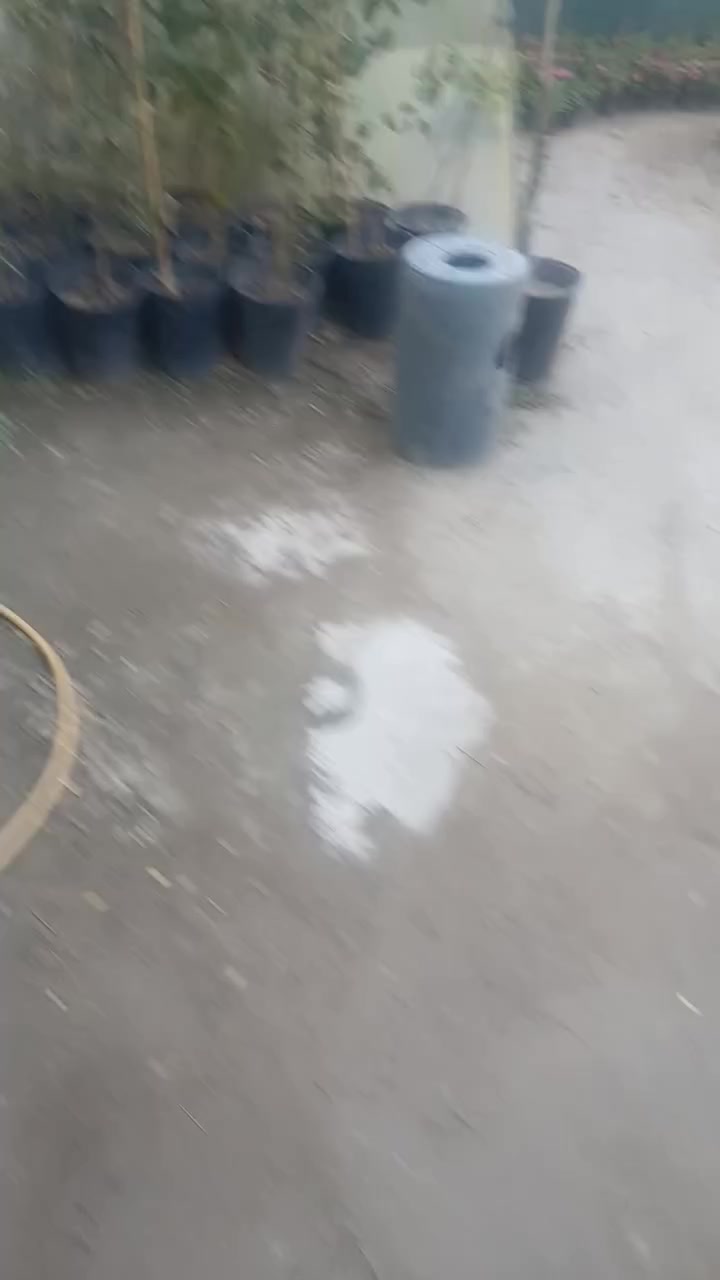 مشتل الزهور


**إذا كنت صاحب هذا الإعلان وتريد حذفه لأي سبب، رجاءا أرسل رسالة إلى الدعم الفني**