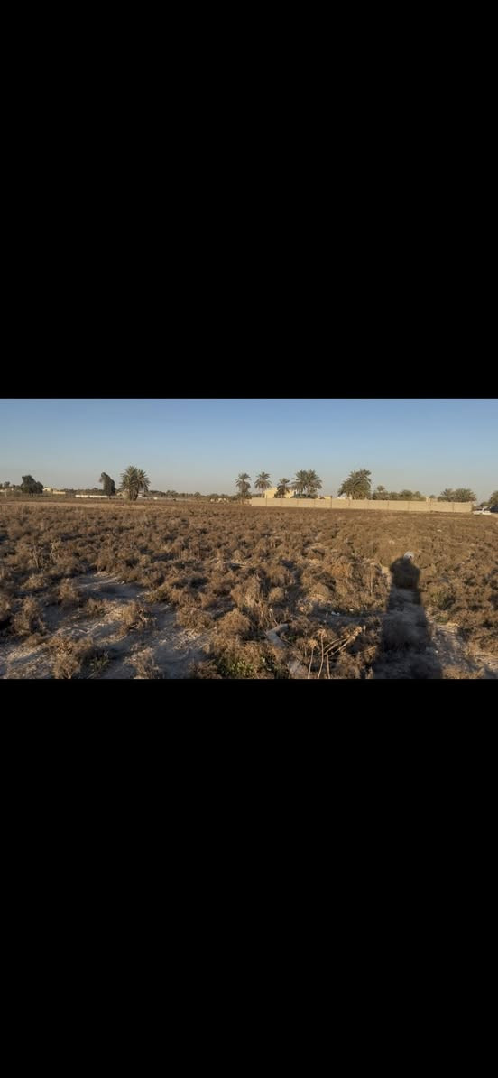 اارض طابو صرف ثلاث دوانم على شارعين تتحول باسم المشتري ب الطابو الاتصال ب الرقم ***********
