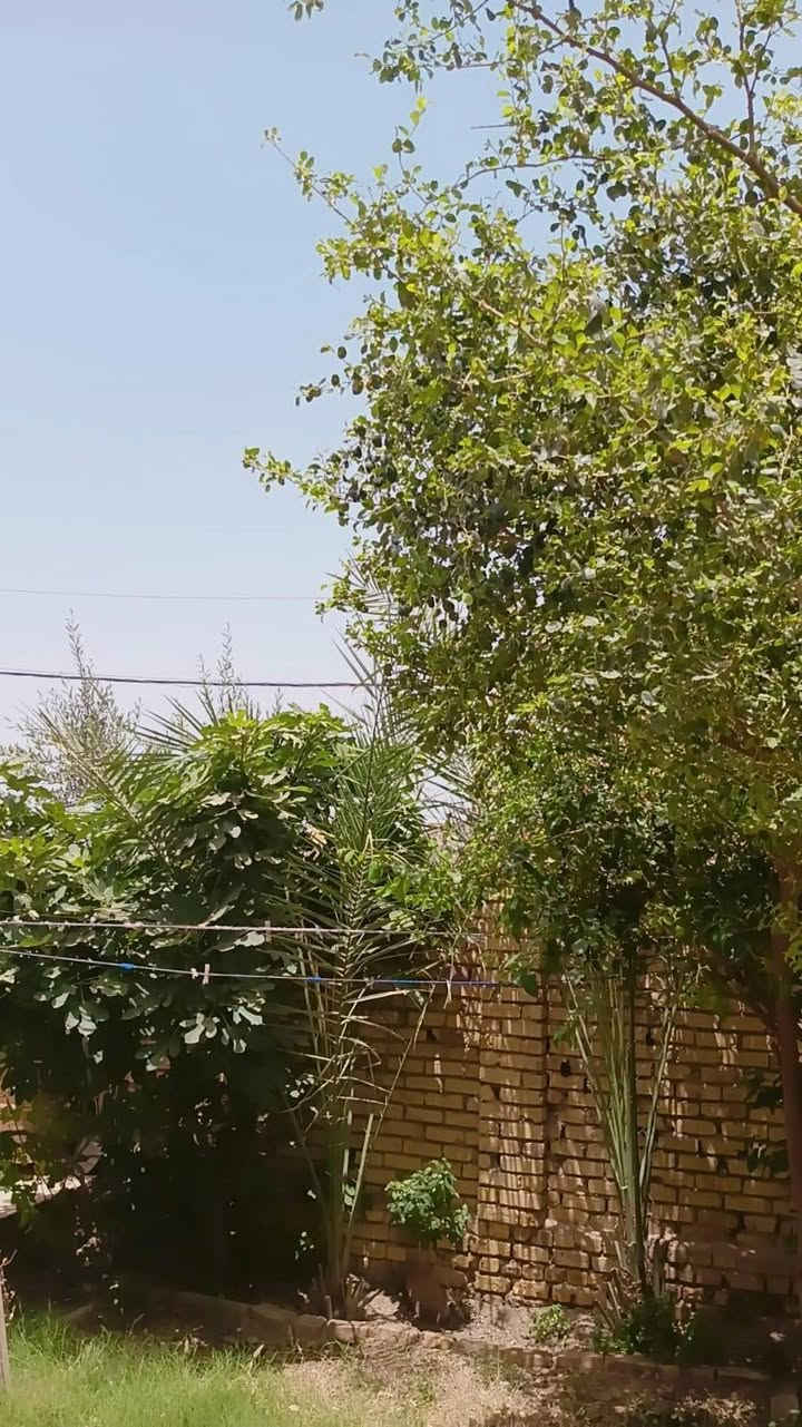 بيت طابو زراعي للبيع  طابقين المساحه 230  يتكون من ٤ اغرف نوم
العنوان حي بابل الزراعي جهت السايلو يبعد عن التبليط الجديد 200 متر 

السعر 75 وبي مجال قليل للاستفسار ***********
