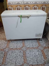 اخوان مجمده للبيع 07872003089