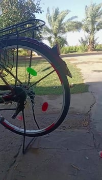 بسكليت • بيع/شراء • الشطرة