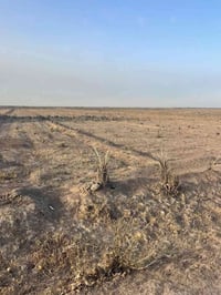 بدعت حمد • ١٠دونم • طابو زراعي