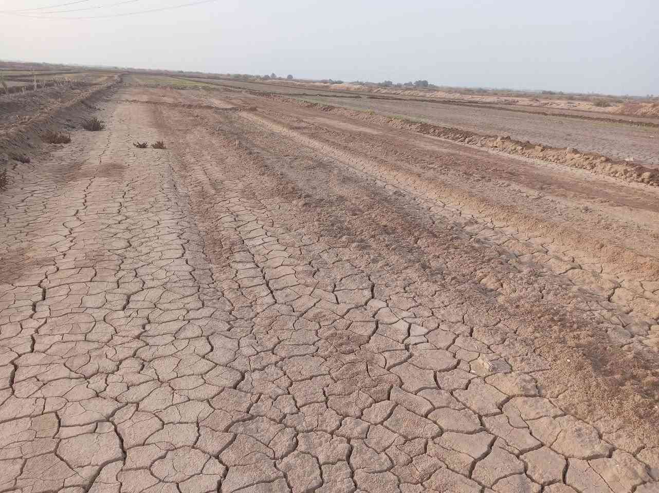 اعادت النشر بسبب الوعود الكاذبه ١٤ دونم  اصلاح زراعي حله جامعة بابل منطقة ربع سعود موجود مي وكهرباء وتبليط السعر الدونم 5 وبيه محال  من الشارع ليمه خمسه كيلو *********** @إشارة
