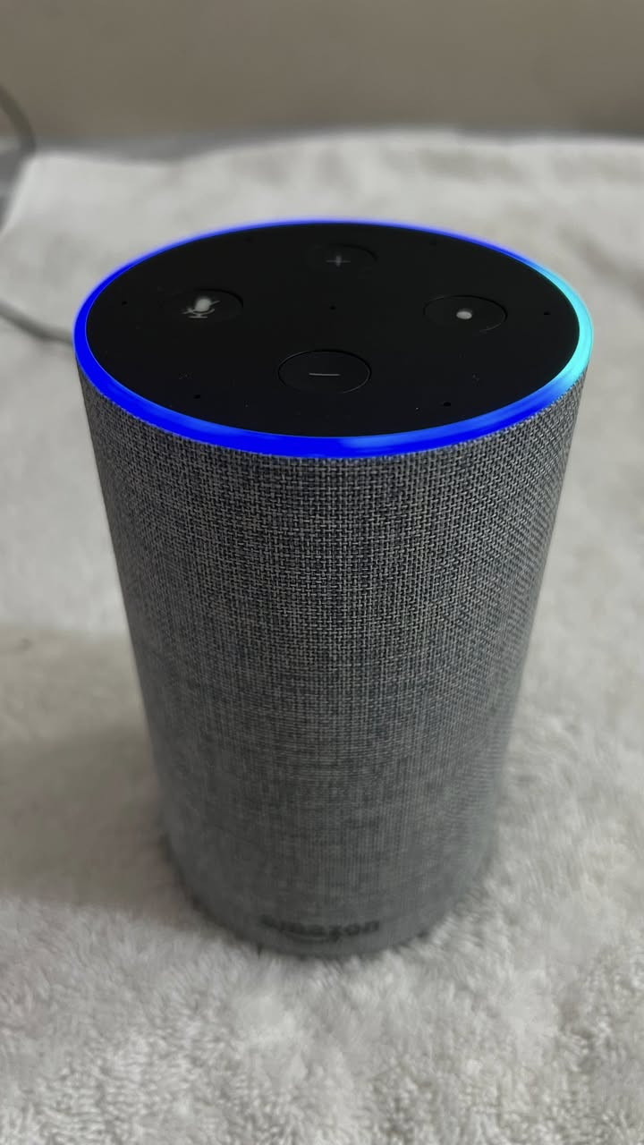 السعر ٤٠ الف


**إذا كنت صاحب هذا الإعلان وتريد حذفه لأي سبب، رجاءا أرسل رسالة إلى الدعم الفني**