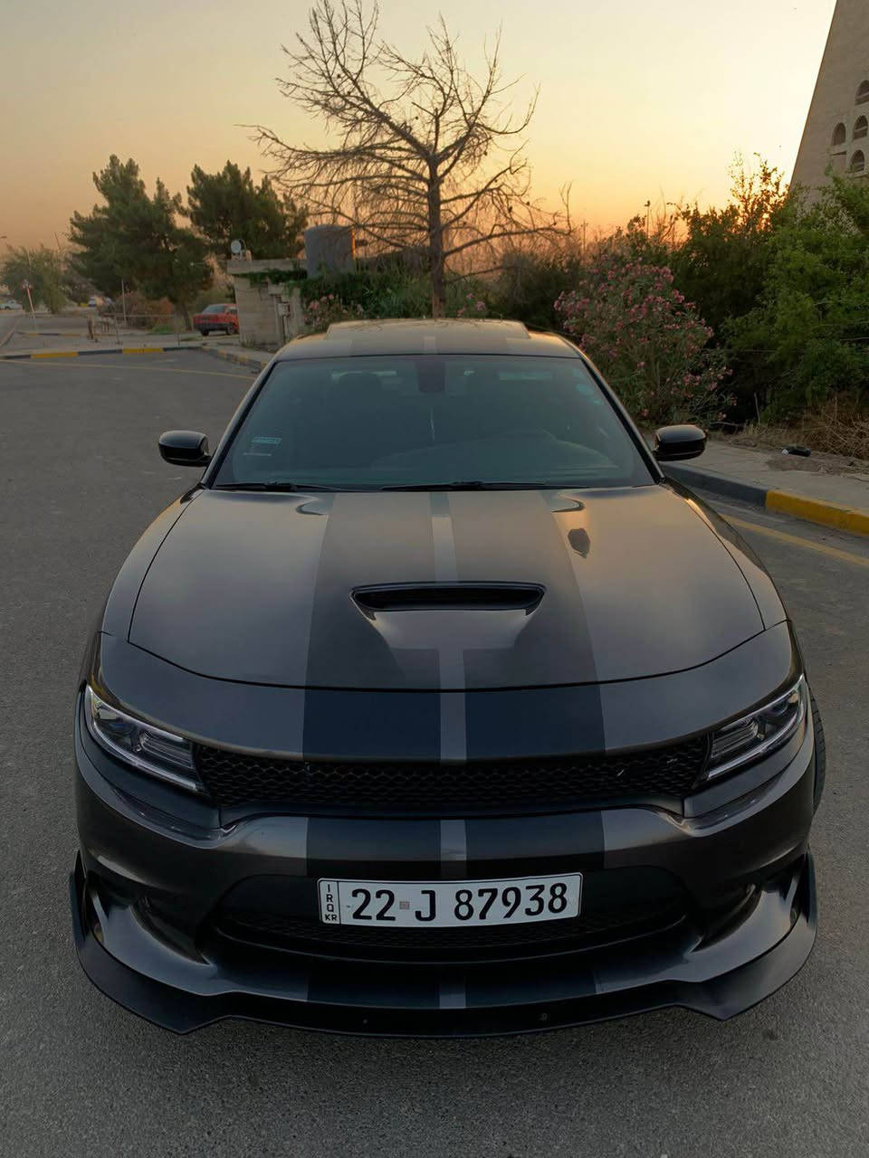 DODGE GT 2021🔥

دوج جارجر GT 

ماشي ١٣٥ الف كيلومتر حقيقي 👌

ضرر ٣ قطع امامي سرقه جاملغ خلفي سكن شبر صبغ بدون دواخل ايرباك مطاك وبلادي شرط الفحص 👍🏻

كير محرك تبريد اكسل كله شرط 💯🔥

سياره صياناتها ممتازه مبيها اي نقص 💯

طخم تاير جديد طخم امامي خلفي جديد ونضيف السياره طوبه بشارع 🔥❤️

سياره باربيل تحويل فقط بدون وكاله 

سعر 228$ بيها مجال للطيبين 

رقم *********** أربيل, العراق
