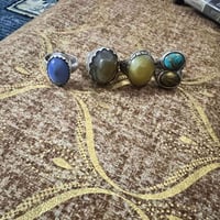 كلمن • سعره • الشطرة