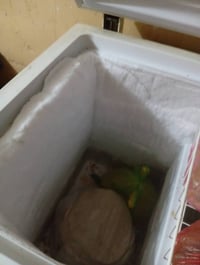 فريزر تركي • آرچليك • النجف