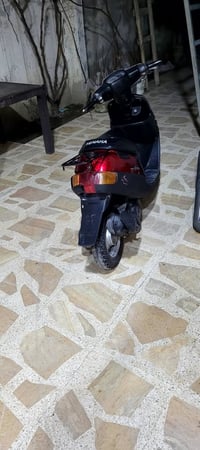 شغال • سلف باتري • حدباء