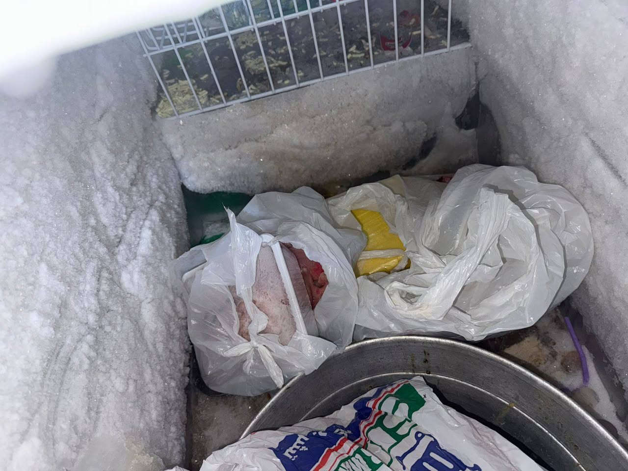 الحجم الكبير جديده من احسن نواع مجمدات ابد مدخله تصلايح. لله شاهد جديده بس دا شيل وتريد نجدد الي يحب بدون ما يعمل مخذته700 قيمه واخذه لله شاهد جديده بيش تريده دخل خاص وتدلل


**إذا كنت صاحب هذا الإعلان وتريد حذفه لأي سبب، رجاءا أرسل رسالة إلى الدعم الفني**