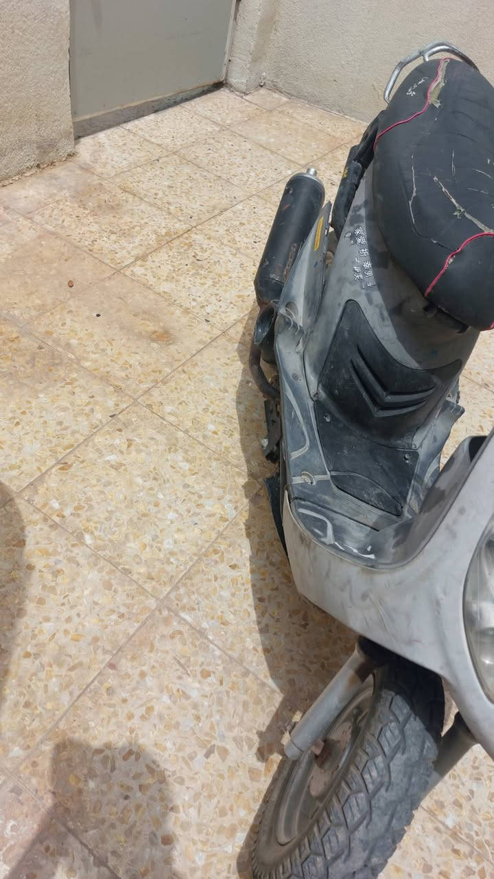 ماكس منغولي حربيه مكينه ناعمه كلش نهضه ومعدل يخبل
لبيع او مراوس بنامه حربيه 
مكاني بابل ناحيت شوملي


**إذا كنت صاحب هذا الإعلان وتريد حذفه لأي سبب، رجاءا أرسل رسالة إلى الدعم الفني**