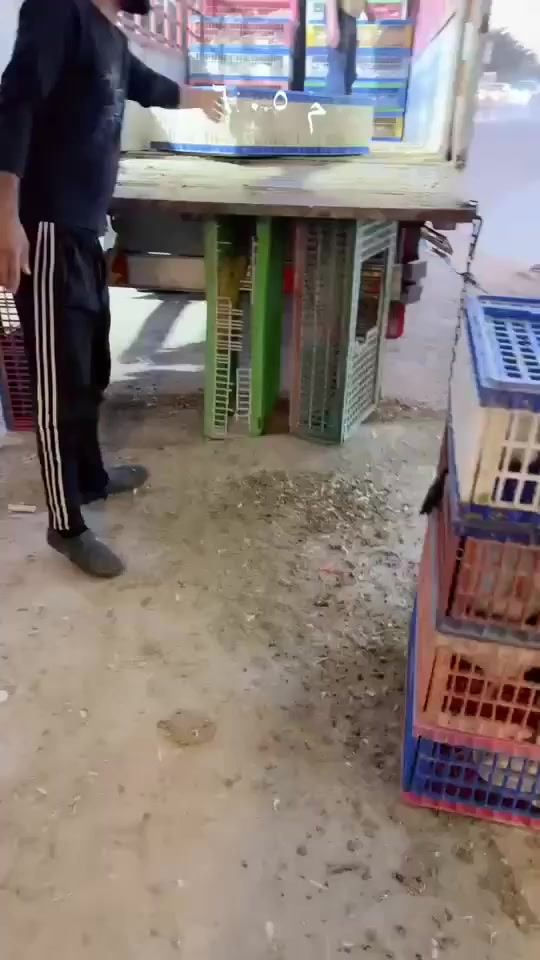 ابو صخير بلمحاجير الشرقيه سيرميك فاصل الجبوري


**إذا كنت صاحب هذا الإعلان وتريد حذفه لأي سبب، رجاءا أرسل رسالة إلى الدعم الفني**