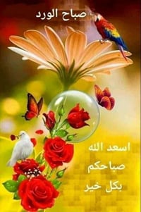 عاملة تنظيف • الخاجية • ١٠٠م