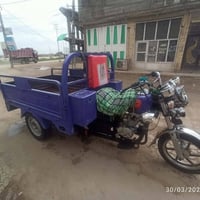 ستوته • مديل 21 • مكفوله