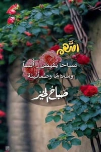 انتباه ....انتباه...انتباه.. تكملة خط طالبتين نقل صباحي طالبات من     ...