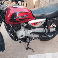 بوكسر • جبلي • مجال