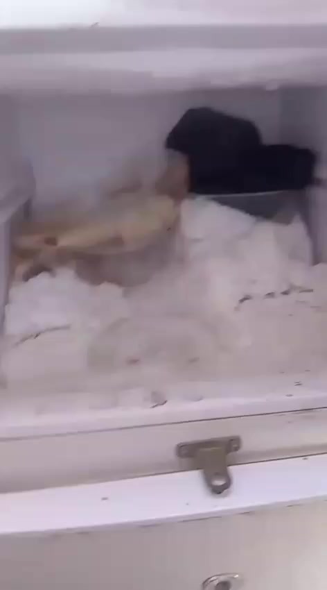 ثلاجه مداخله تصليح حجم فوك لوسط قفل 145نهايته شراي خاص


**إذا كنت صاحب هذا الإعلان وتريد حذفه لأي سبب، رجاءا أرسل رسالة إلى الدعم الفني**