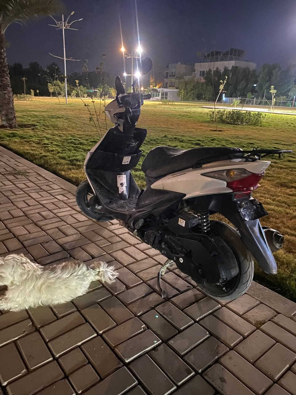من رخصت الادمن دراجه ساسوكي ياباني  ادرس نمتن 125s  Suzuki Address V125S 
🔴مواصفات تدافئه يدات وكشن شغاله ،كهربائيات جميعها 🔴شغاله والحساسات كلها شغاله . دراجه ماشيه ١٠ الاف 🔴بيها تصليح بالمحرك بس الولفات نظيفه كلش  وغراضها 🔴كلها اصليه الدراجه على وضع البلادي . تايرات جدد عليها  🔴نظافه الدراجه 90% ✔️السعر 500 وبيها مجال بسيط المكان بغداد ***********🟢
