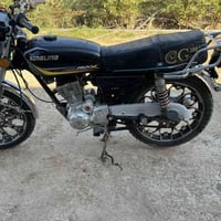 سونك 25 • اوراق • كهربا شغاله