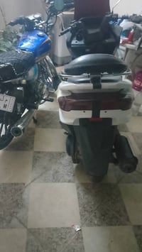 ماجستا للبيع او مراوس حسب القناعه مكان كركوك حي الخضراء 07885881459
