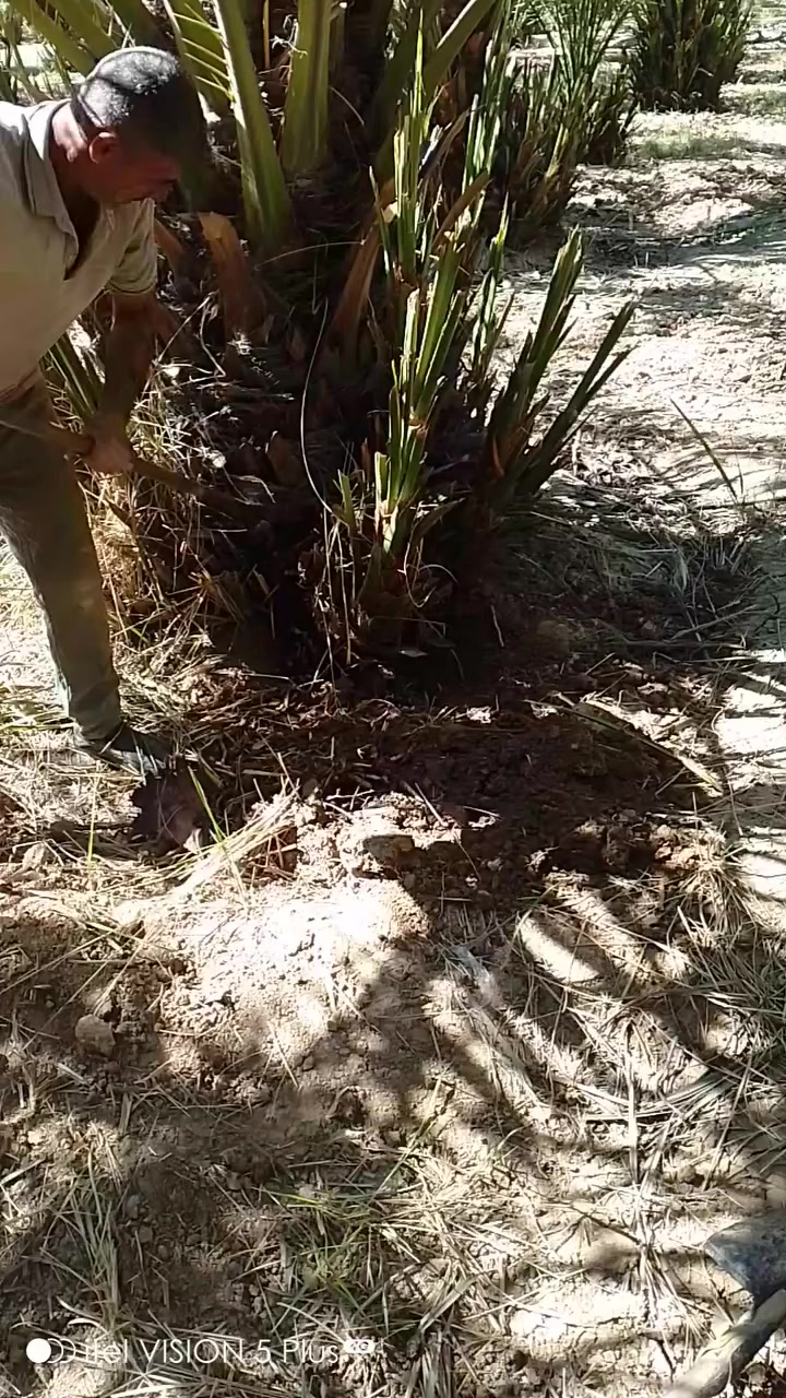 يوجد لدينا برحي بغداد الراشديه للاتصال على الارقام *********** او على الواتساب ***********
