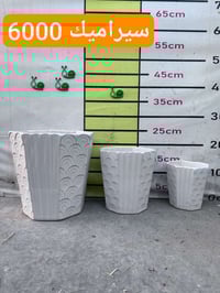 اللهم صلِ على محمد وال محمد   ✨ أضف لمسة طبيعة وأناقة لحديقتك ✨ تشكيلة...