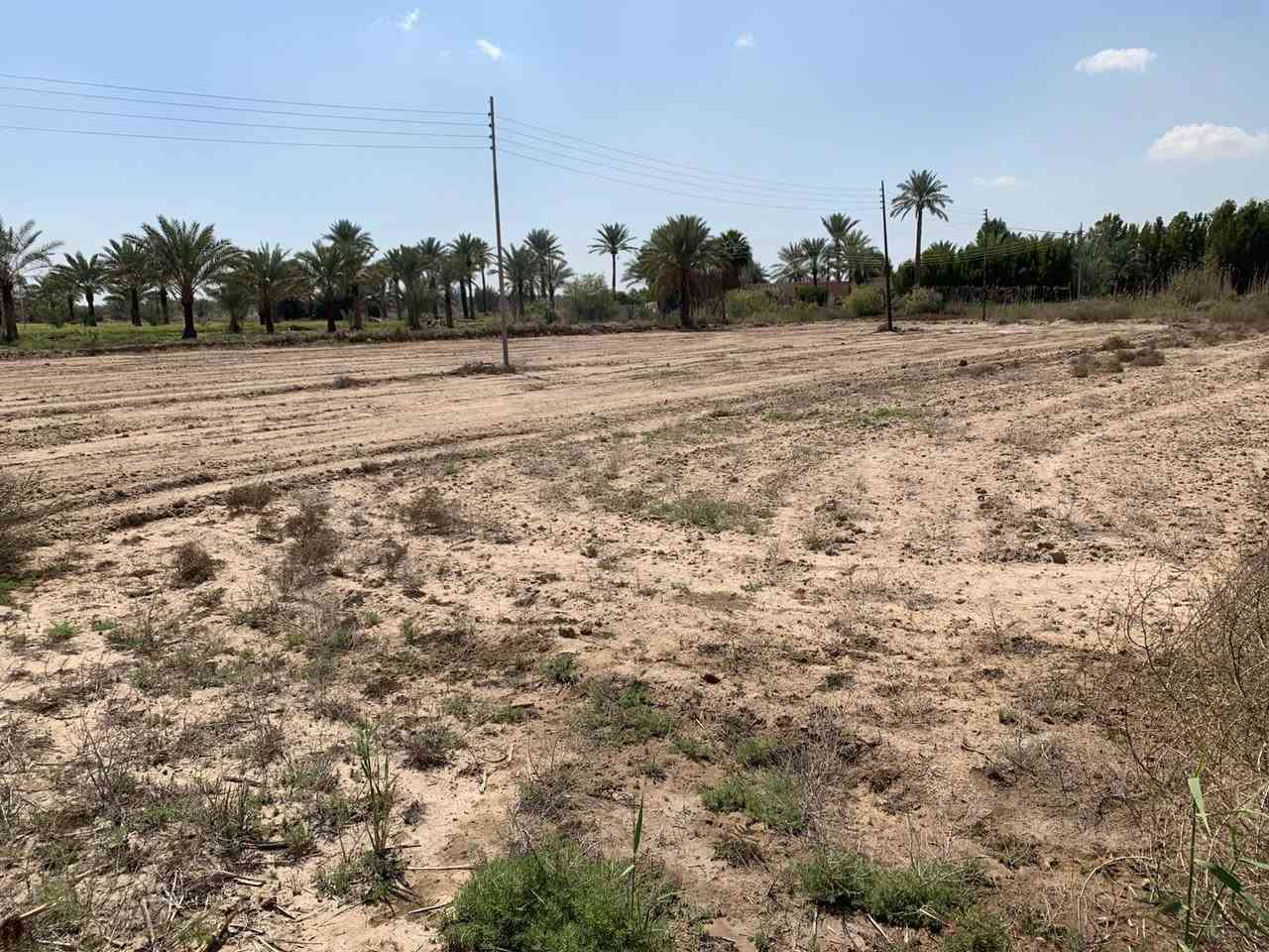 سلام عليكم دوانم البيع سند 24 كافة الخدمات ماء كهرباء تبليط يبعد عن تبليط، 90 متر طريق 5 متر/ مكان بابل ورديه يبعد كيلو  عن الإمام علي أبن الحسن ابو هدمه / ***********/ يصبح سكن/ ويصبح مزرعه/
