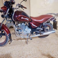 ام زد • ٢٢٣ • أوراق كاملة