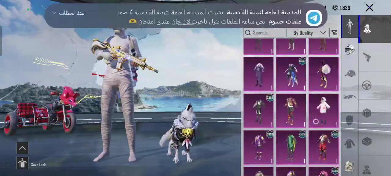 ببجي كوريه حساب متعوب عليه سعر خاص


**إذا كنت صاحب هذا الإعلان وتريد حذفه لأي سبب، رجاءا أرسل رسالة إلى الدعم الفني**