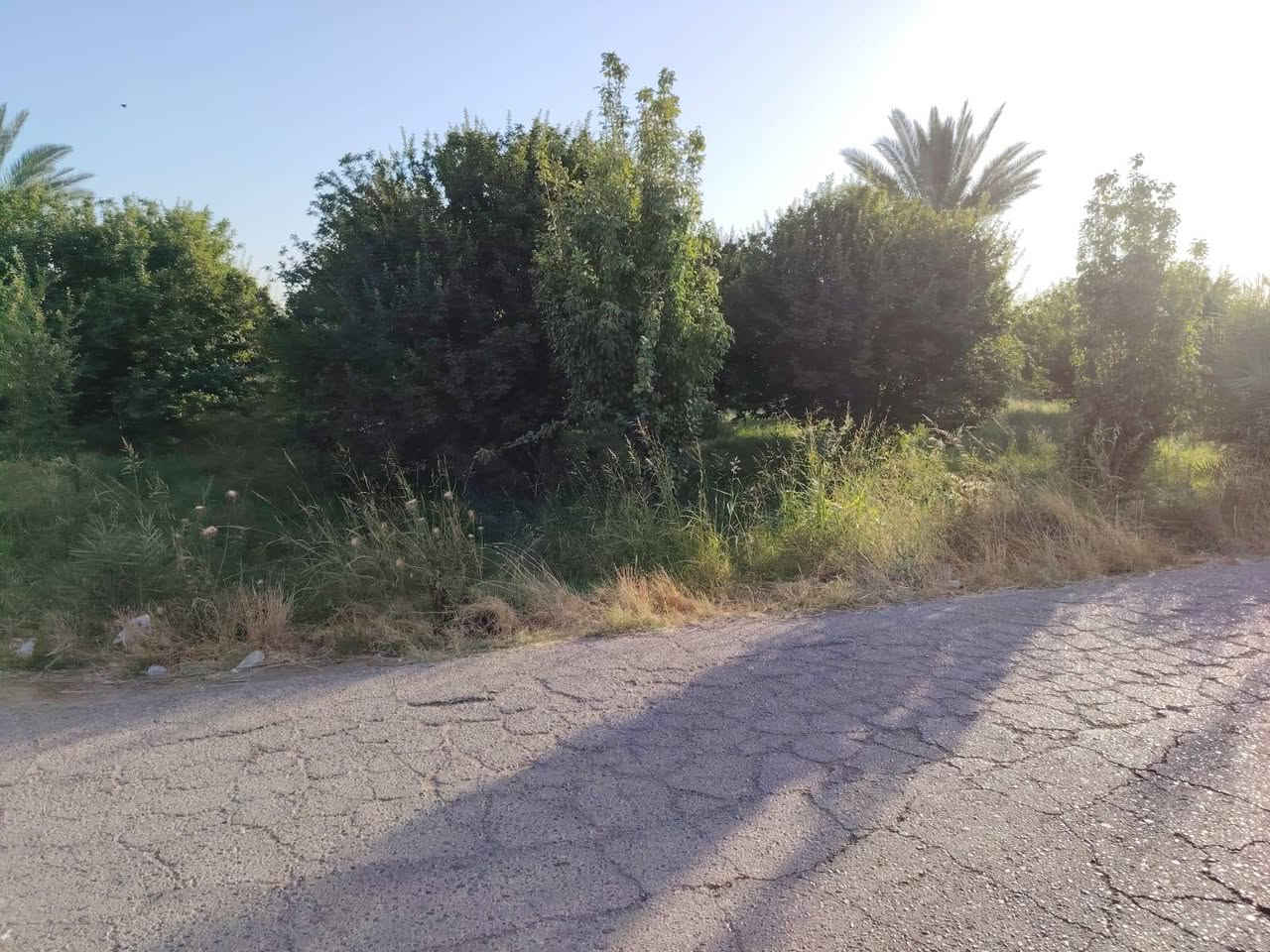 للبيع أرض زراعيه الموقع رمادي مجاور منتزه الأرض السعيده الأرض مخدومه تبليط ماء وكهرباء  المساحه/6000 متر دونمين ونص موقع مميز جدا 
    جنس الأرض ( عقد ٣٥ ) مجدد الوجه 43 × 140
     للاستفسار مع مكتب أبو وسام للعقارات للجاد الإتصال على الرقم  *********** واتساب.. غير متواجد على الفيس للرد على التعليقات لطفاً.. تحياتي
