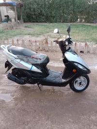 دراجة جيفور • نظيفه كلش