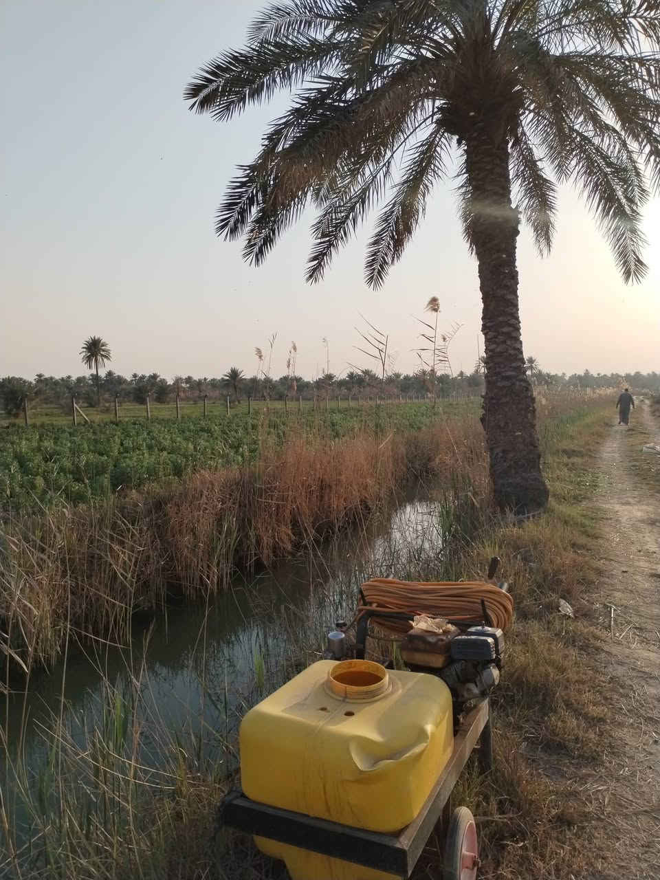 ارض زراعيه مساحه ٢دونم و٦٥٠متر كاع روعه تسقي سيحا موقع ممتاز كافه الخدمات طويريج حي العسكري تبعد عن الحولي ٦٠٠متر السعر ٢٣٥ مليون تفاصيل على الخاص مكتب حيدر للعقار ***********
