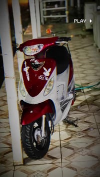 دراجه منغولي • شرط • دوانيه الحضاره