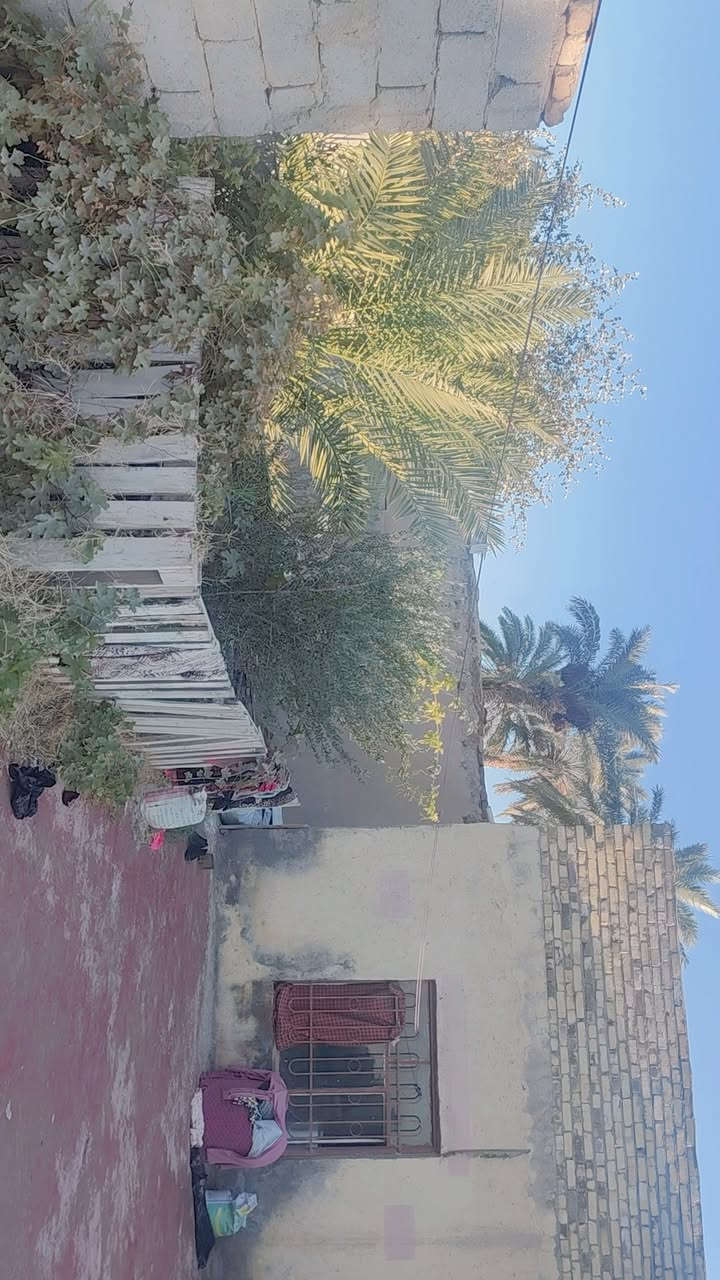 بيت للبيع زراعي سند ٢٥مداور باسم المشتري ٣٥٠متر السعر11M
بيت بناء طابوق ثلث غرف ومطبخ وصاله بيت نضيف وحلو واسع 🫶🏻
السنيه ال بنايل يم مدرسه النصر نزله ملعب الشهيدين 
***********
