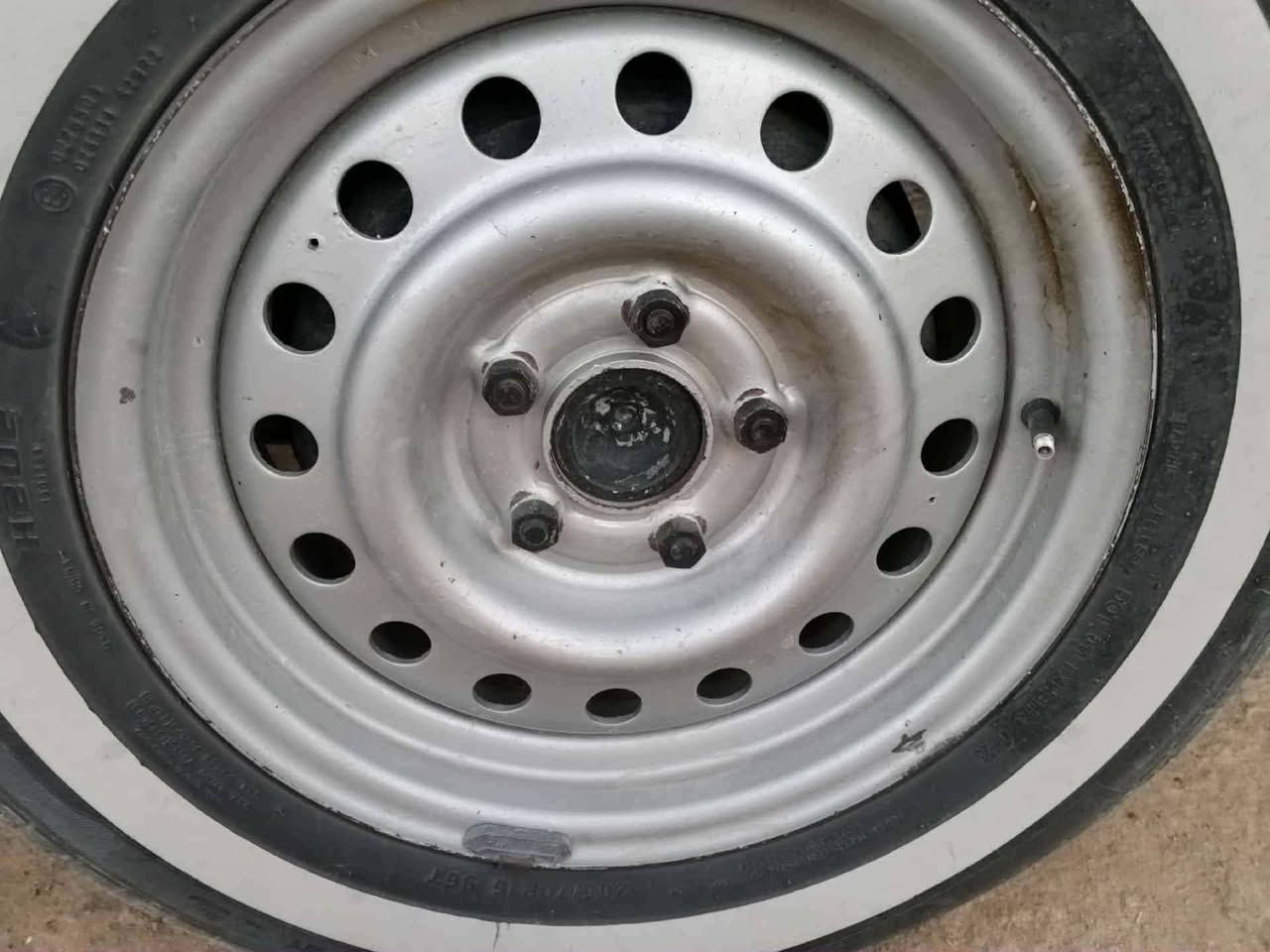 السلام عليكم
عندي تخم ويل عادي اريد مراوس بويل كب ابو النجمة مال 
فتون 17مكاني بغداد ***********
