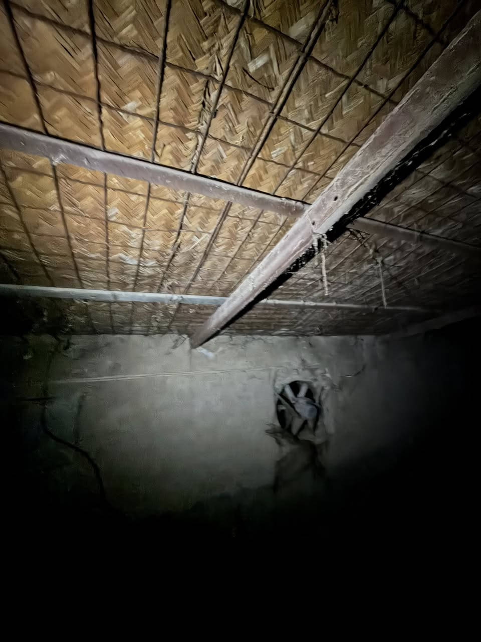 السلام عليكم حقل دواجن البيع حديد وا مفراغات مال اعلاف السعر مناسب اليحب ياتصل ع الرقم 
***********
