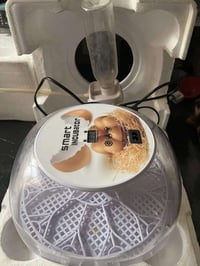 مفقسه • ١٢ بيضه • معطلة