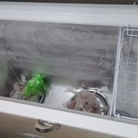 مجمدة • نظيفه • البياع