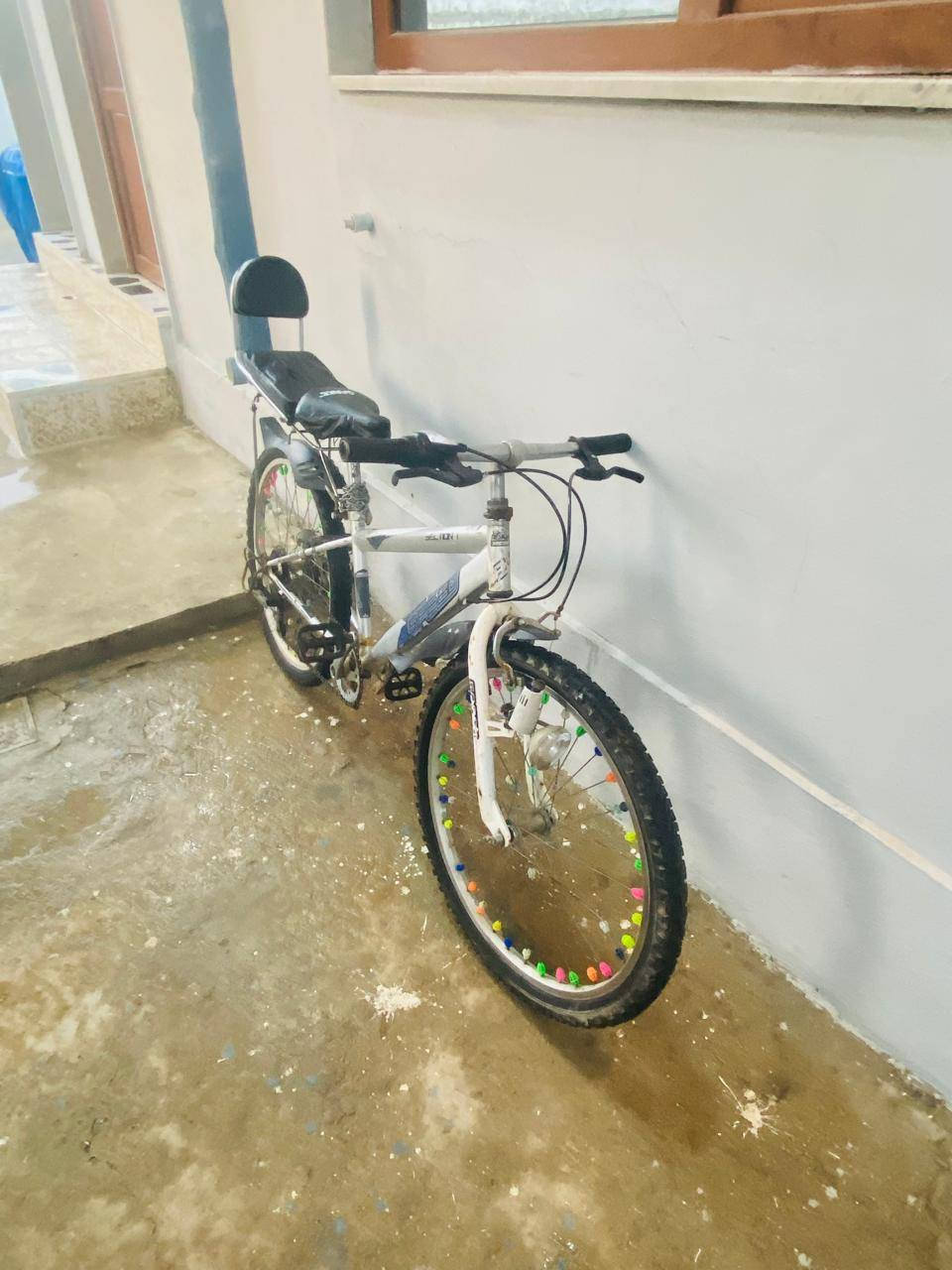 باسكال للبيع السعر 50 وبي مجال بس الوكافيه مابي
شراي تعال خاص


**إذا كنت صاحب هذا الإعلان وتريد حذفه لأي سبب، رجاءا أرسل رسالة إلى الدعم الفني**