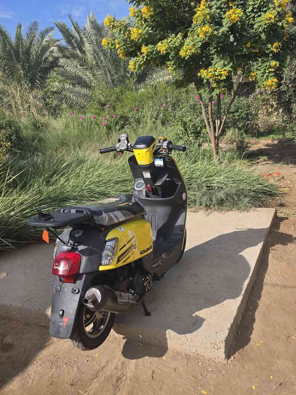 السلام عليكم بوليس مصطره للبيع موديل 12كفاله عامه ختم جمع قطعه بيهه وي لمكينه بحاله الوكاله بيهه صدر ووياله وصالنصه وغراض نوام كله اصلي السعر خاص وهذه رقمي***********
