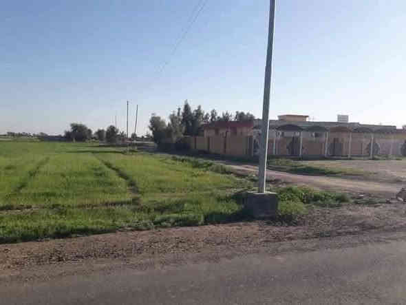 #دوانم جميله موقع جيد التاجي ذراع دجلة طابو سند 25 خدمات كاملة ماء اسالة وسقي وكهرباء وسوق مدارس منطقة ريف كلش حلوه الحياة هنا تختلف عيش برفاهيه                (اخذلك دونم 2500 متر او دونمين 5000 متر سعر الدونم 30  مليون ) 
 رتب بيهة مزرعه عائليه ترتاح كلش البناء مسموح سوق مدارس كلش حلوه المنطقة وقريبه على بغداد 
اي استفسار بخصوص الدوانم على الرقم واتساب *********** واتساب
