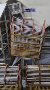 حي المعلمين القديم • ديكور منزلي • خدمات ديكور