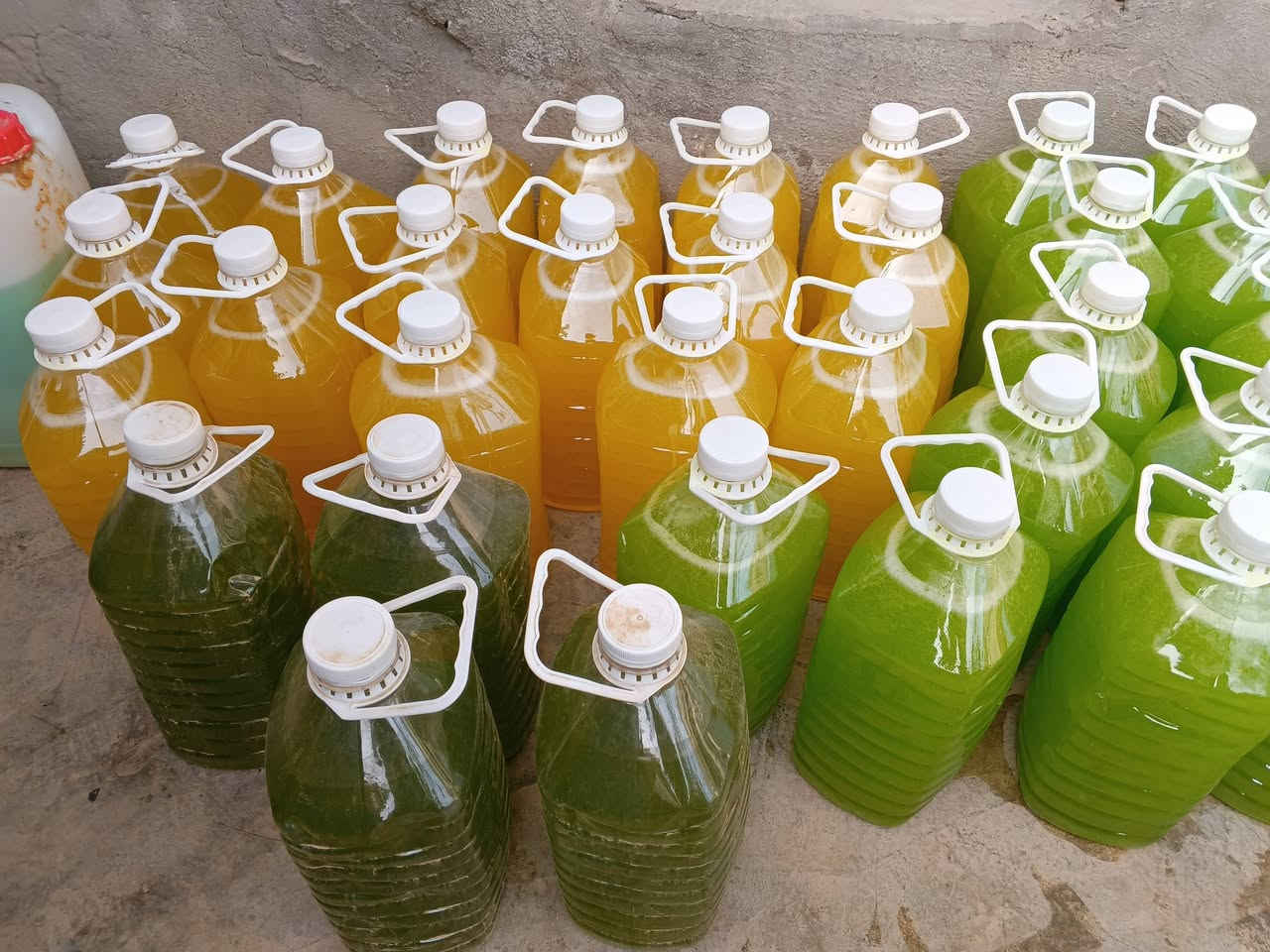 وجبه جديده من الزاهي الدبه 5لتر 
توصيل مجاني 
داخل السعديه  @إشارة


**إذا كنت صاحب هذا الإعلان وتريد حذفه لأي سبب، رجاءا أرسل رسالة إلى الدعم الفني**