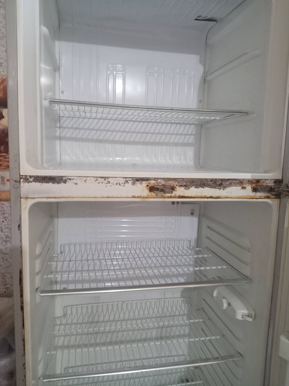 عندي ثلاجه للبيع نضيفه وشغاله وعل فحص حجم كبير اريدها ب150وبيها مجال الاتصال على الرقم الموجود 0811588930


**إذا كنت صاحب هذا الإعلان وتريد حذفه لأي سبب، رجاءا أرسل رسالة إلى الدعم الفني**