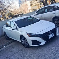 التيما • ٢٠٢٤ • دفع رباعي