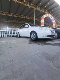 النترا • ٢٠١١ • رقم اربيل