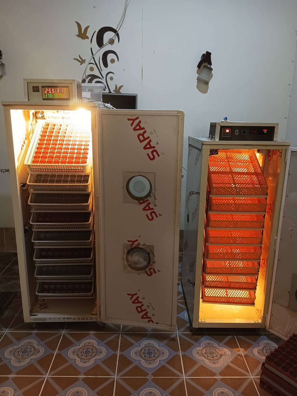 *********** 🐣🐣🐣
متاح مفاقس عدد2سعة كل مفقس 700+700بيضة سعركل مفقس 450الف فول اوتوماتيك مبخرة خارجية نضام هيتر انتاج معمل (سيد حسين النحال كركوك) نسبة تفقيس 85٪شرط التفقيس والفحص المكان كركوك روناكي غير متاح في الخاص الاتصال علا الرقم فقط
